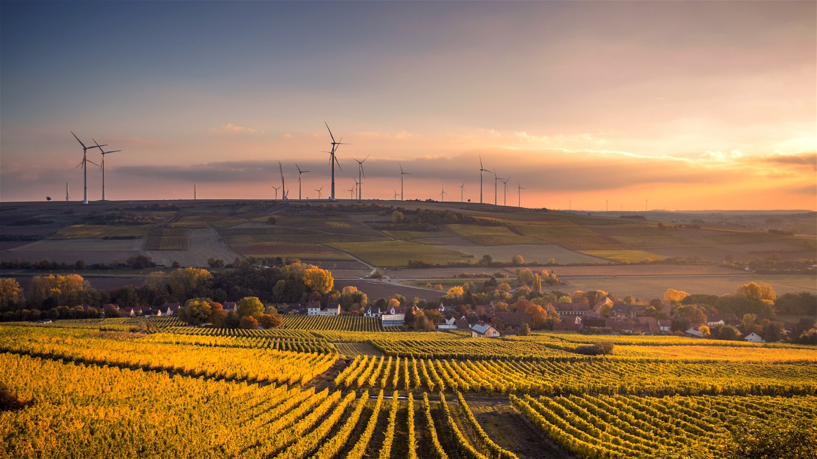 The future of renewable energy: solar, wind, and beyond