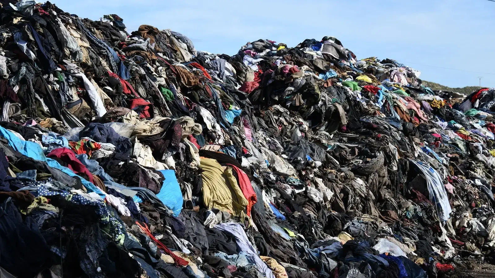 Should we put fast fashion in the recycling bin?