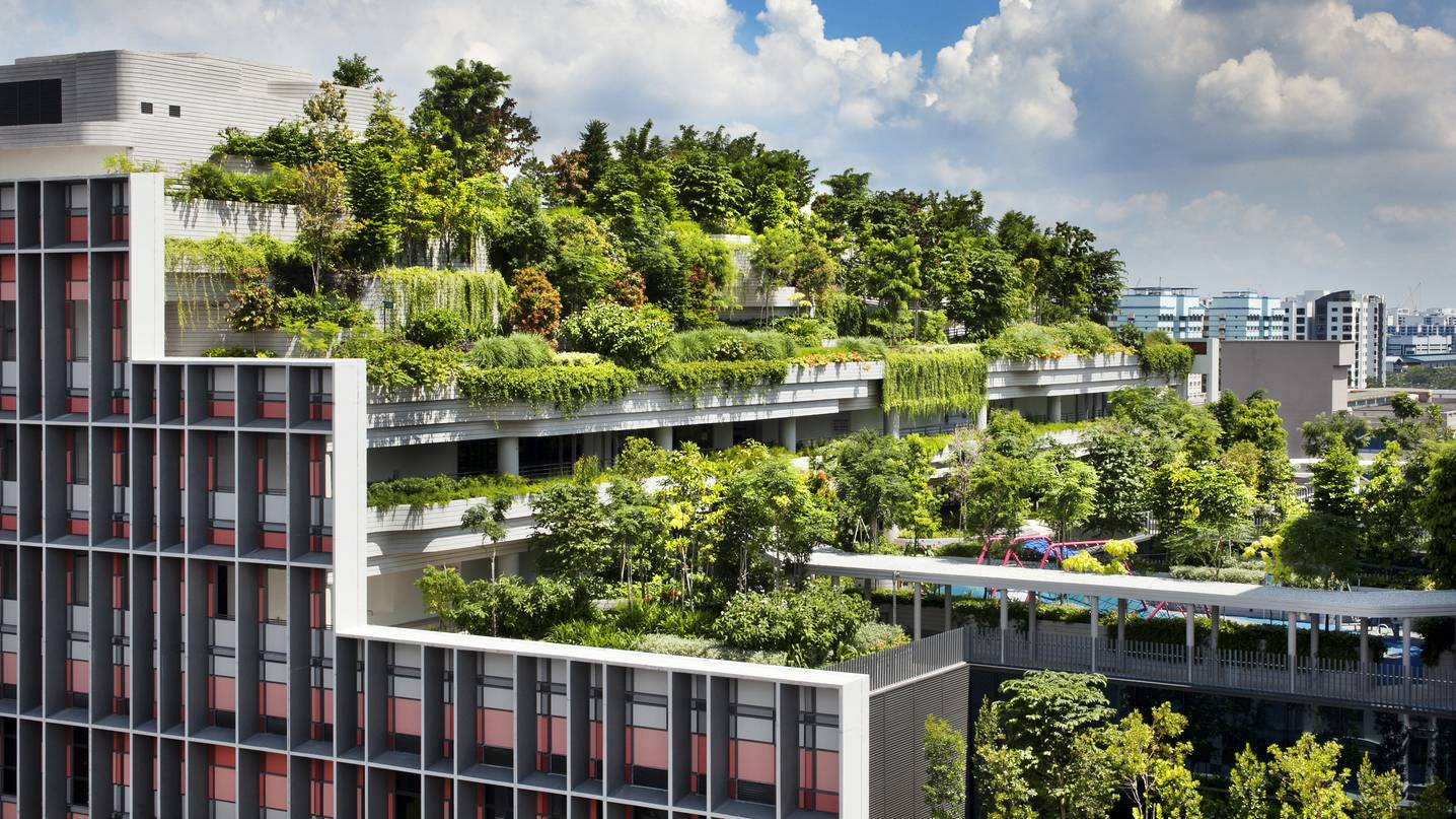 Get your eco-friendly groove on: Green design for a sustainable and stylish future