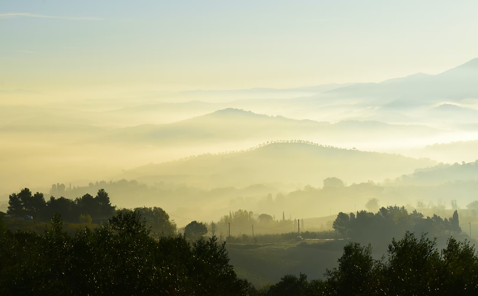 Corporate net-zero: building the toolbox for ambitious climate commitments