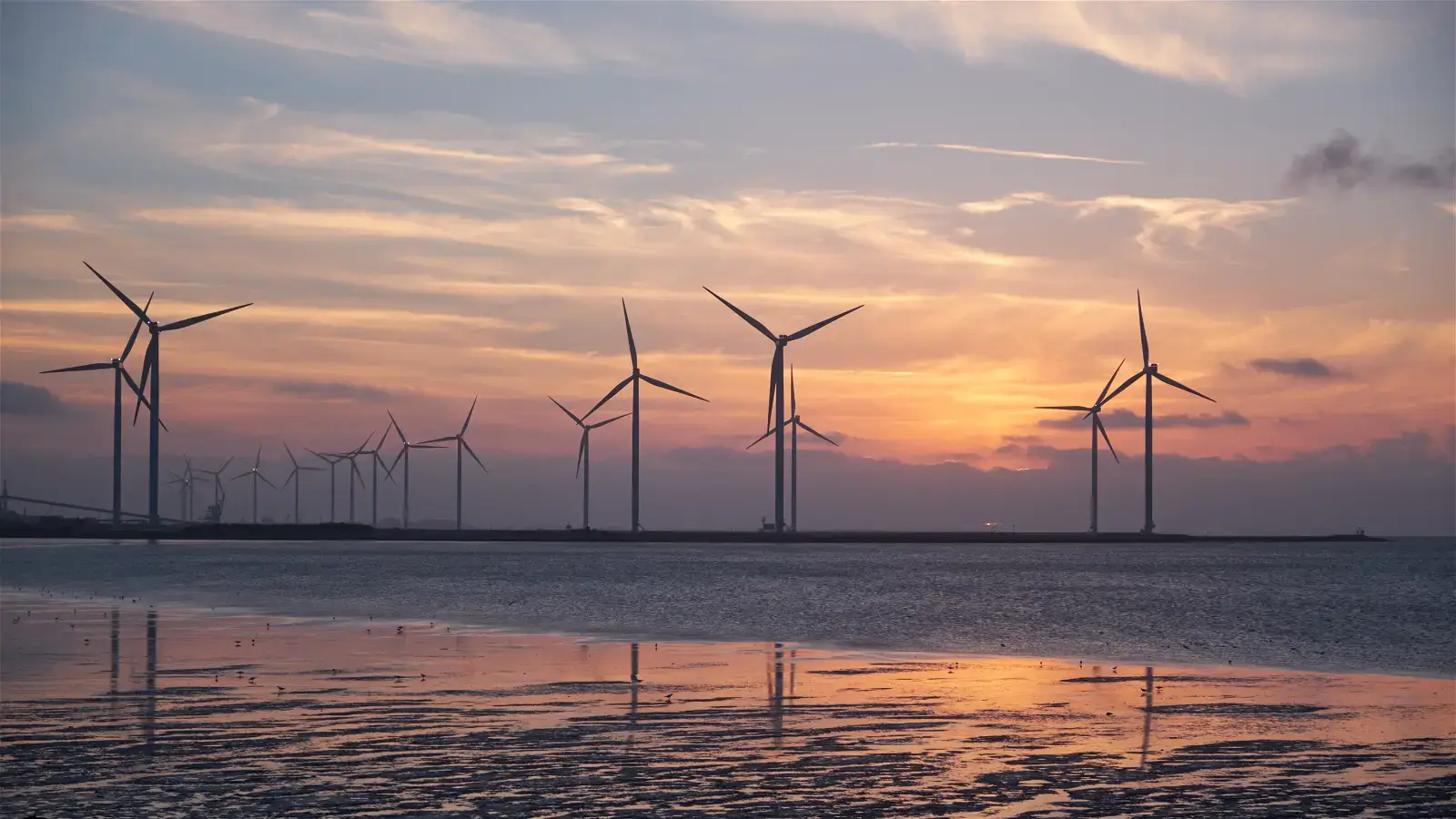 Blow to UK renewable plans after Vattenfall halts wind farm project