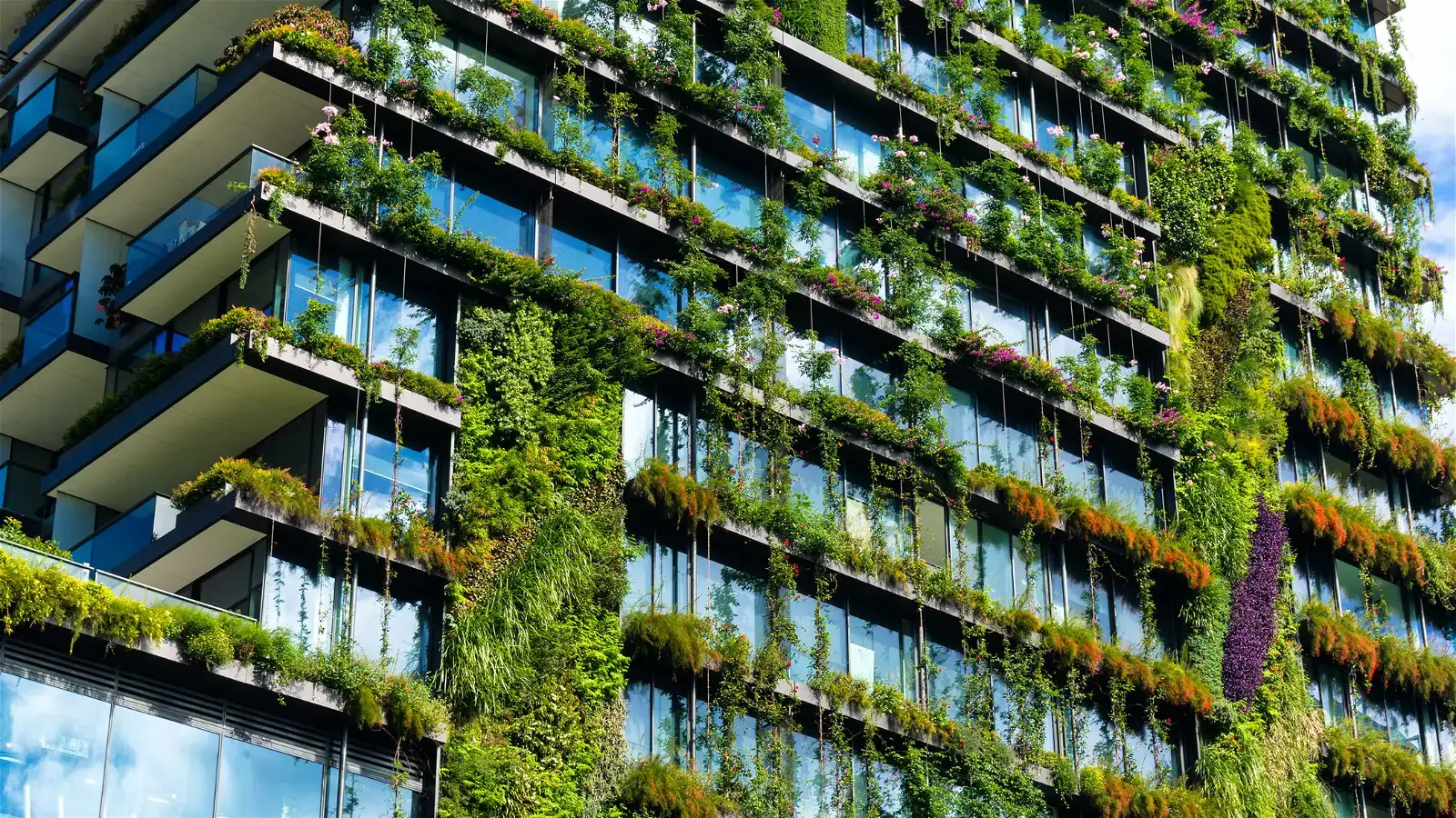 The future of green real estate: Net zero energy buildings and technological innovations