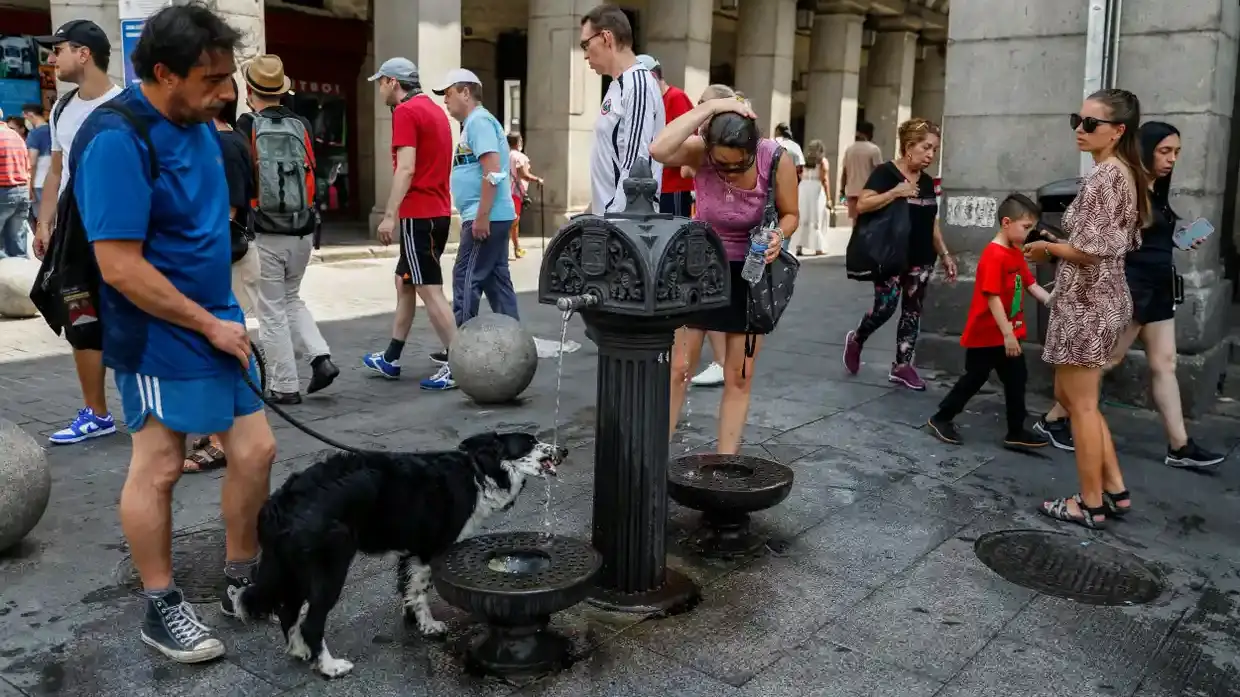 Heatwave last summer killed 61,000 people in Europe, research finds