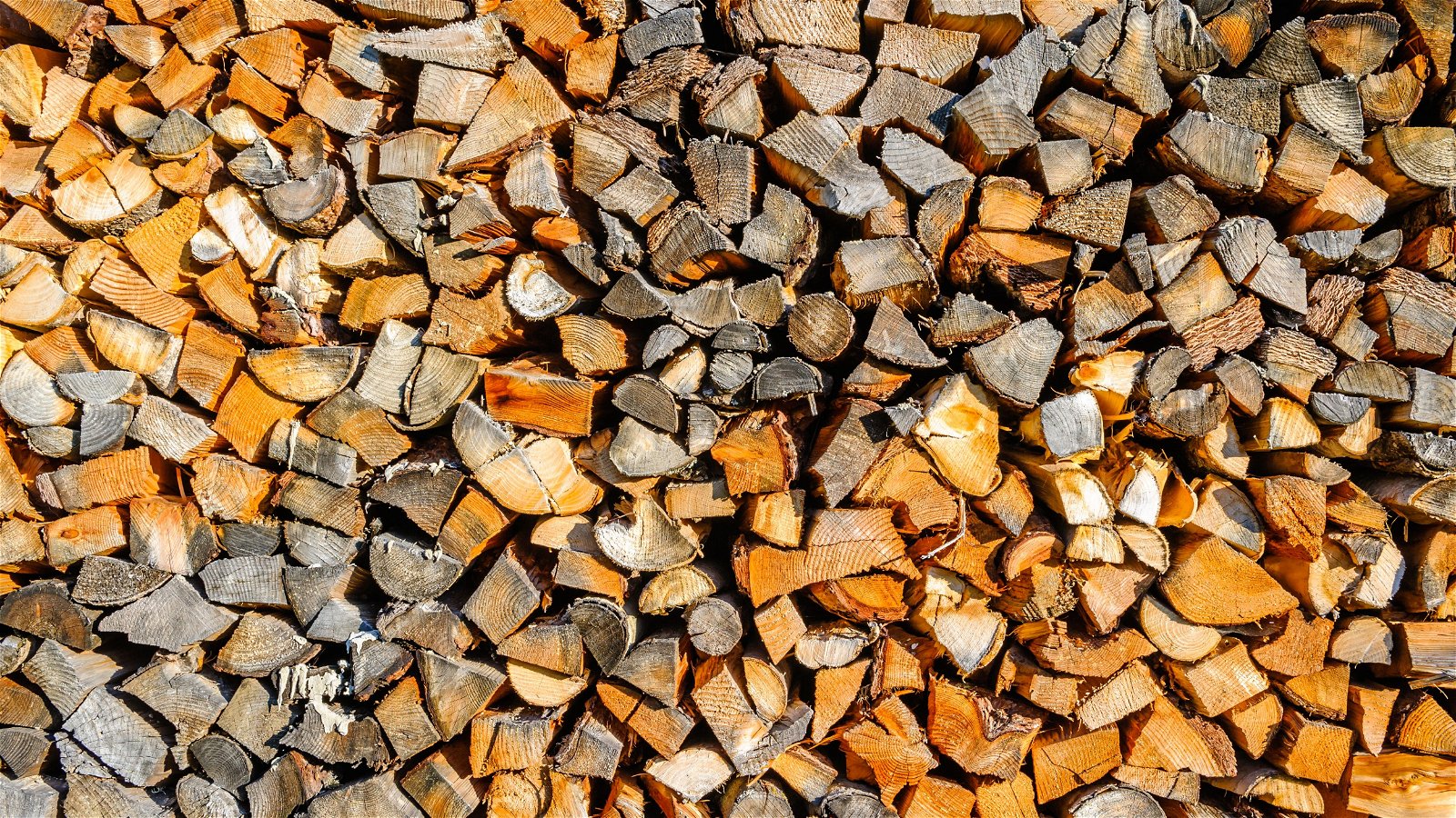 The Extensive Use Of Biomass In Developing Countries