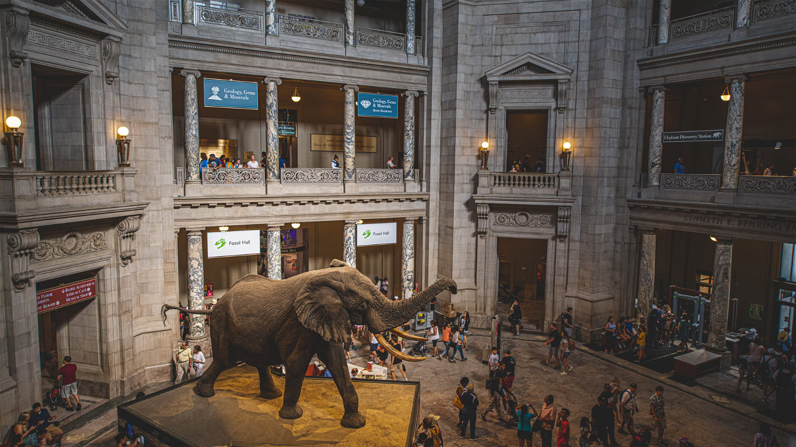 The Elephant in the Room: the Contradiction within ESG