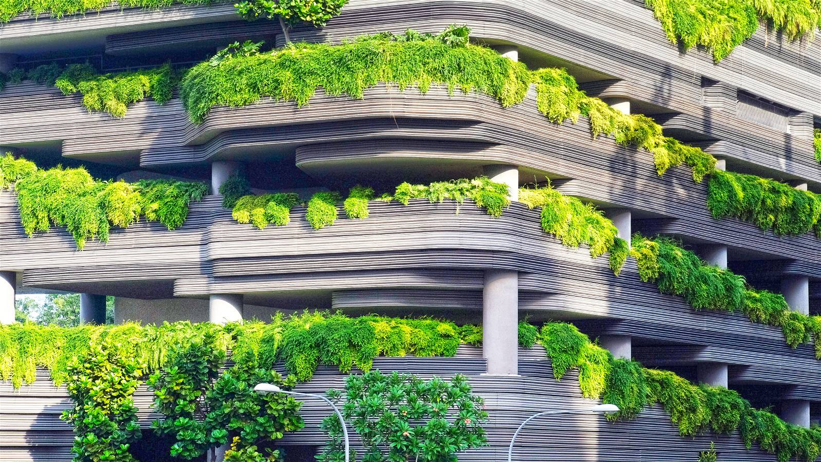 Nature-based solutions: City greening reduces carbon emissions