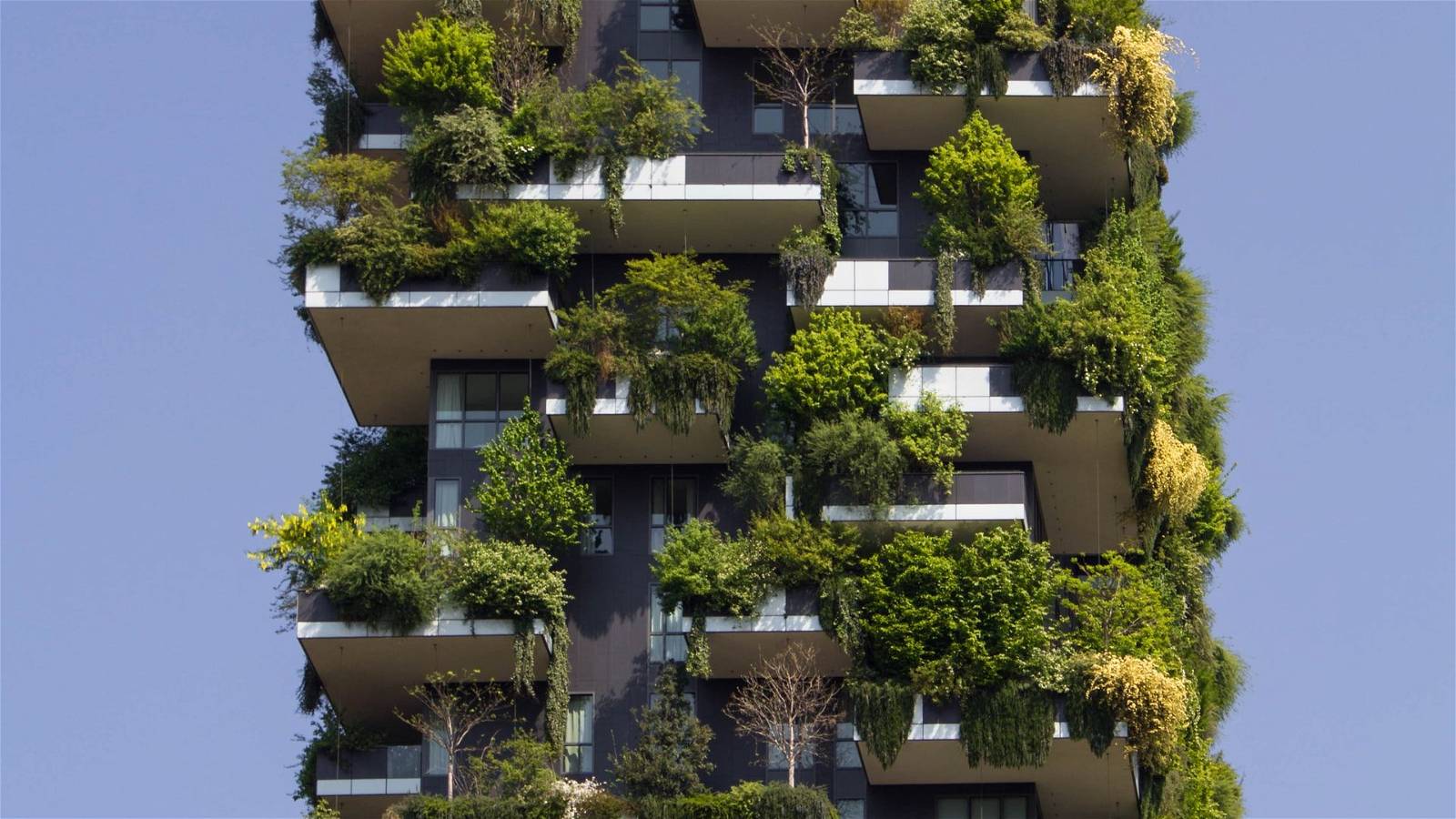Bioclimatic Architecture Is there a way that a large city turns greener and sustainable?