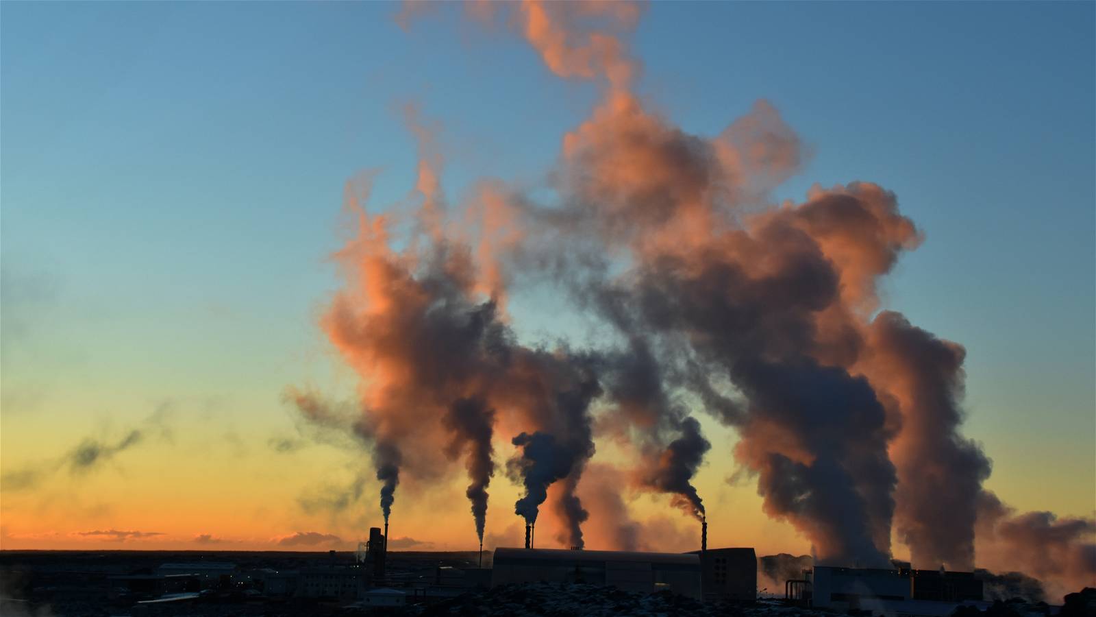 How much carbon will we need to remove?