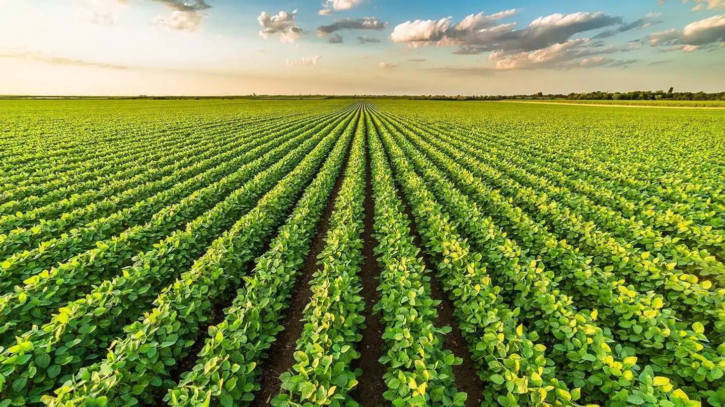 Can food and agriculture companies raise their game?