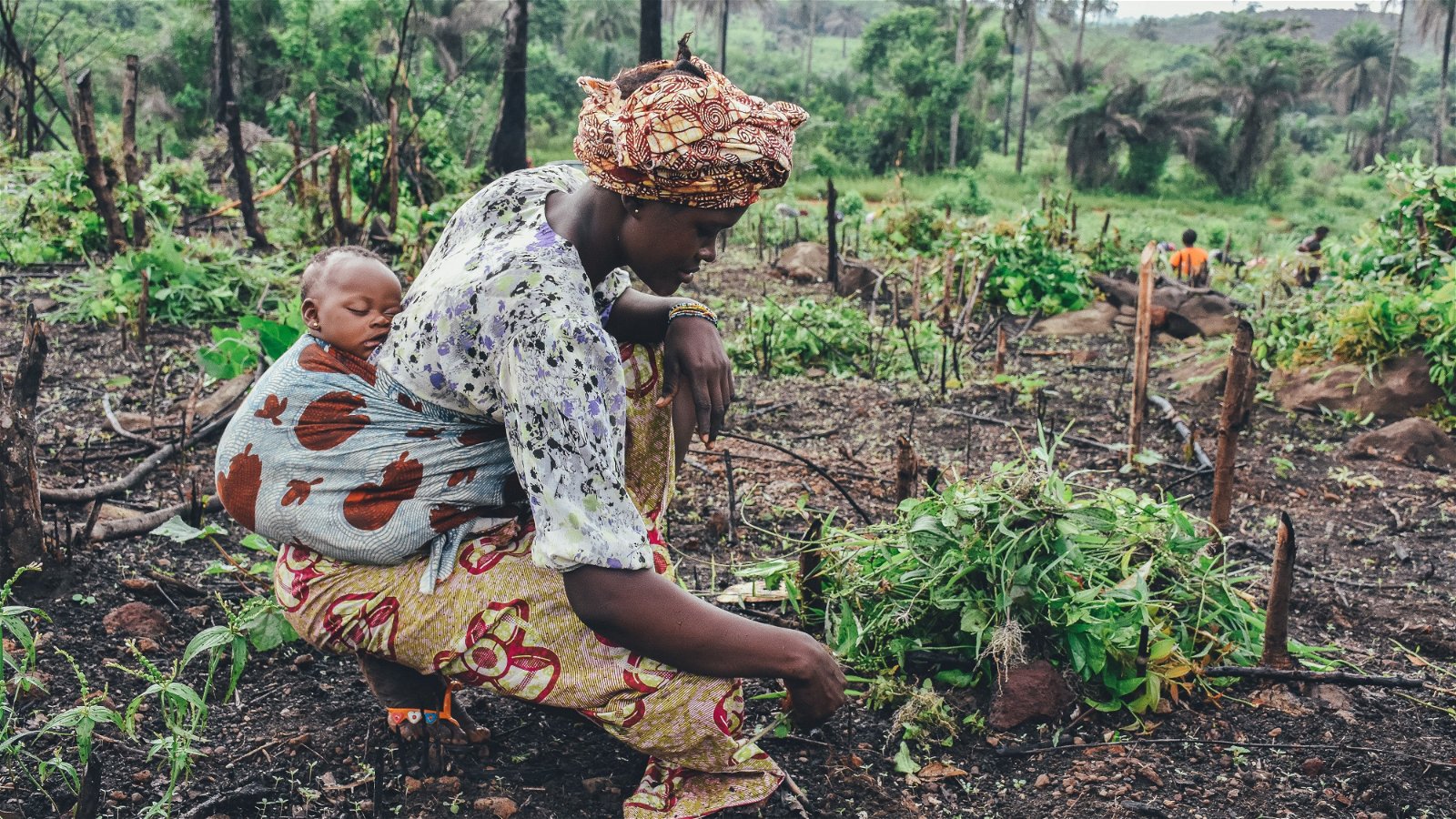To achieve an inclusive, food-secure and sustainable future for all: move women in agribusinesses up the food security and climate action agendas