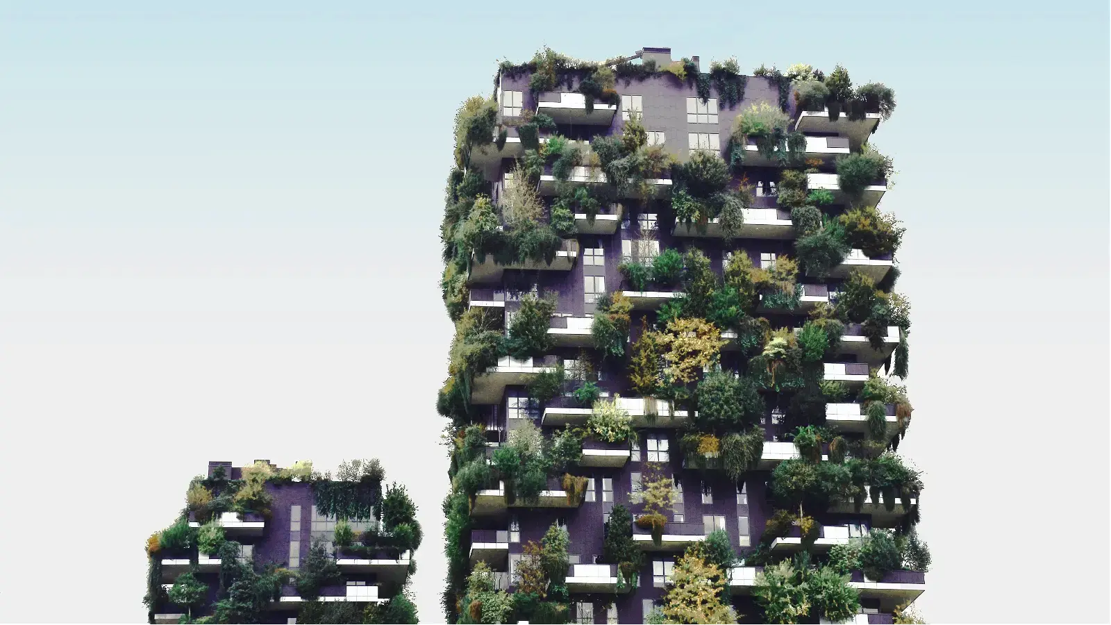Architects take inspiration from nature to build sustainable future