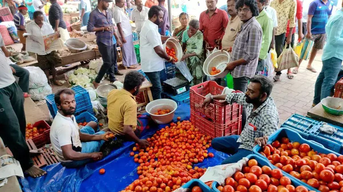 A comprehensive approach to tackling vegetable price hike through sustainable food processing