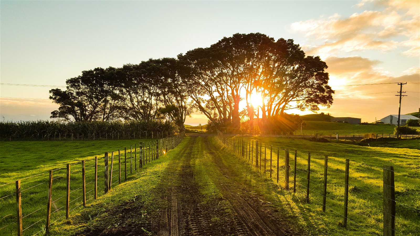 Setting the standard for more sustainable agriculture in New Zealand