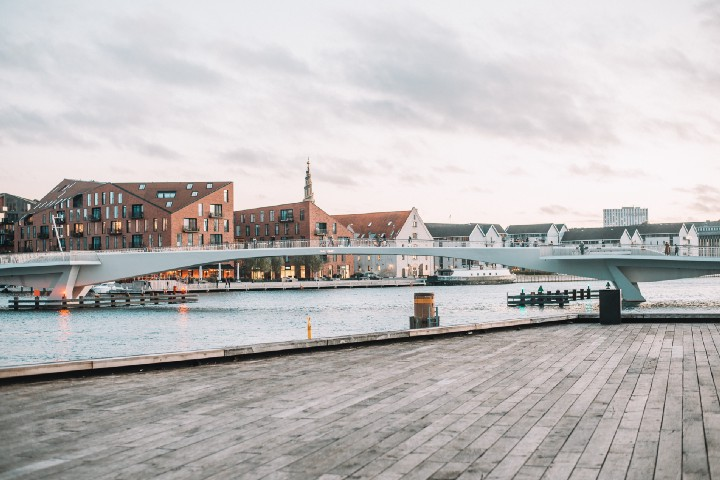 Figure 1: Bridge in Copenhagen Photo by Aurora Ferreira. 
