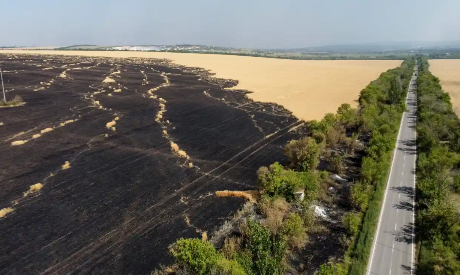 Wheat plantations burnt after Russian airstrikes in Donetsk oblast
