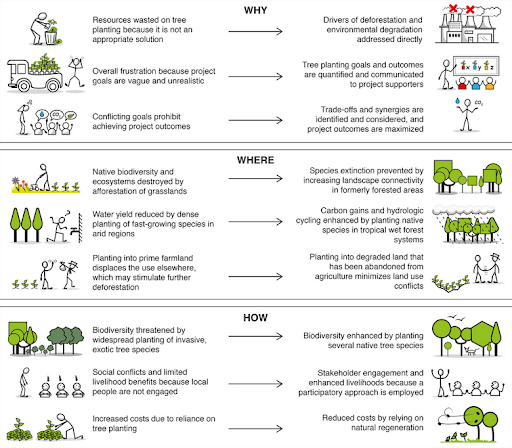 Figure 2: Outcomes depend on why, where and how tree planting is done by Brancalion and Holl