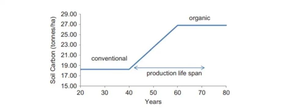 Typical soil carbon profile during a transition from conventional to organic farming methods.
