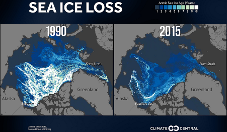 Sea ice loss