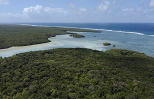 Figure 2: Mafia Islands Delta