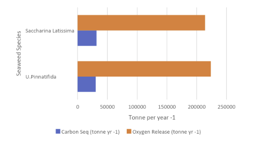 Figure 6: Comparison between oxygen release and carbon sequestration for seaweed. 