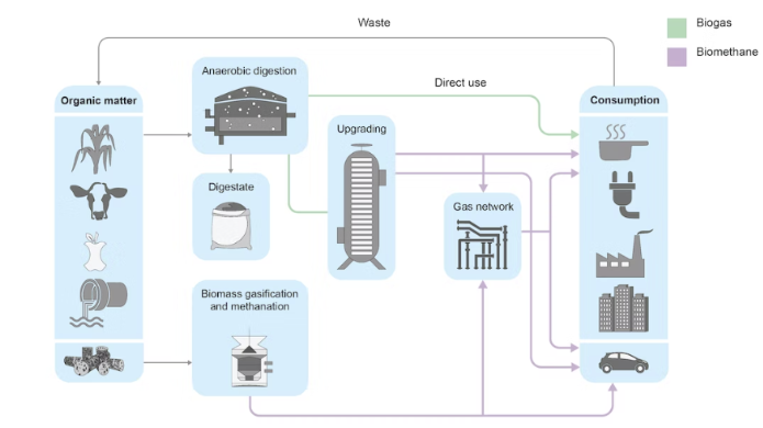 Figure 2: Chart showing Biomethane and Biogas cycle
