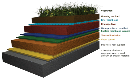 A diagram of plant layers