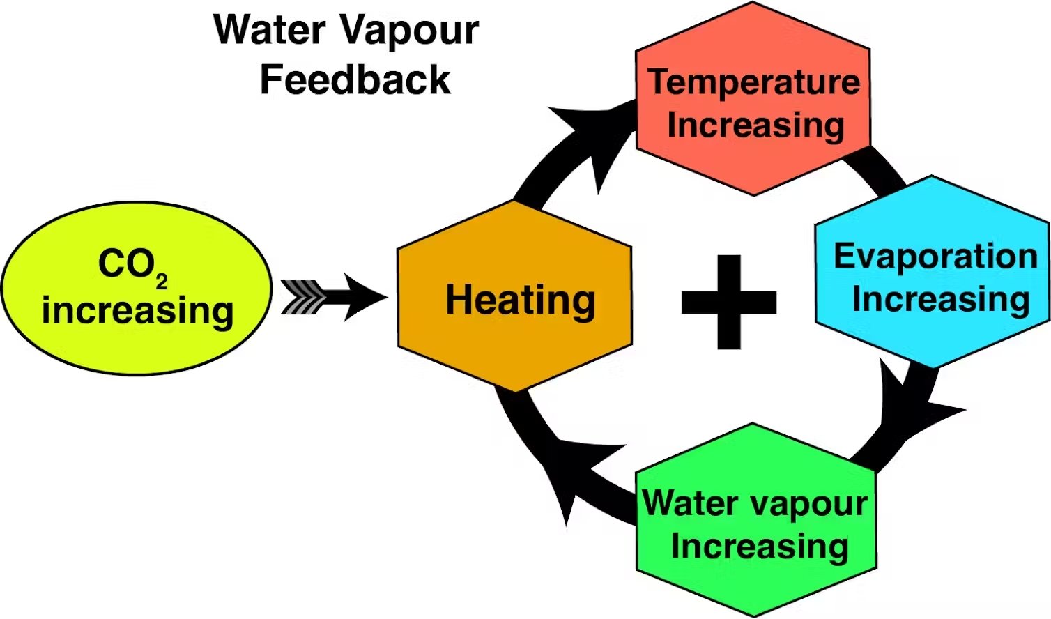 The water vapour feedback