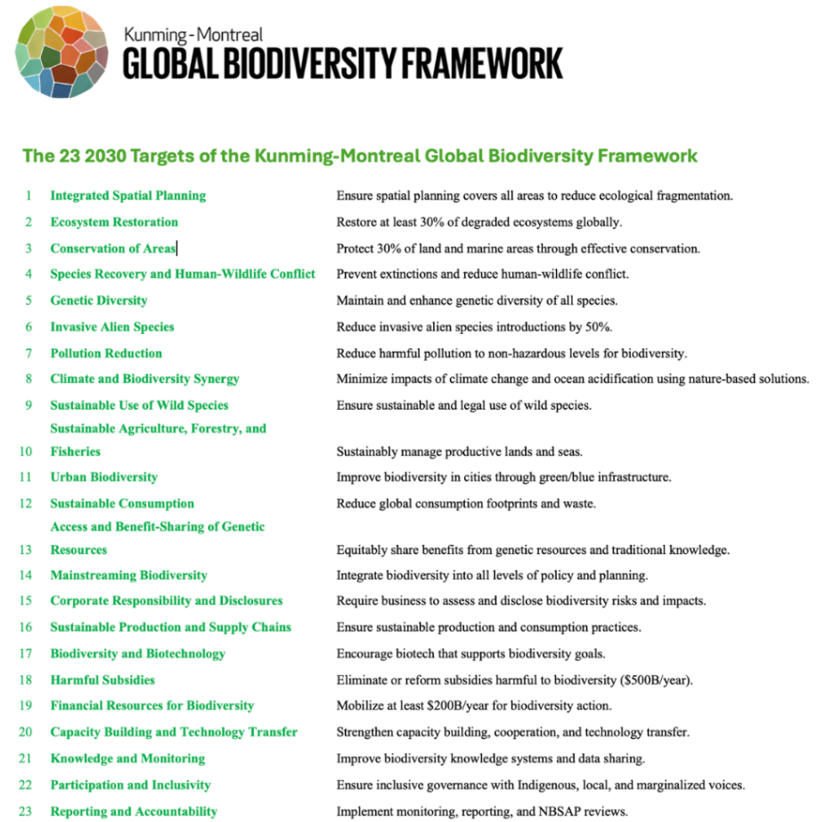 Global Biodiversity framework