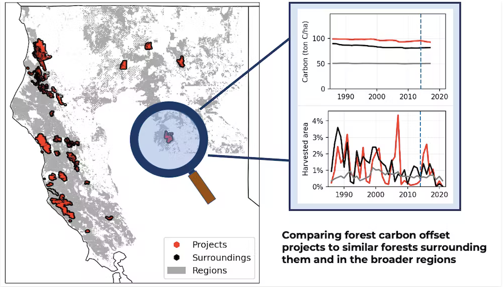 Using satellite data, we can track carbon changes and harvest rates in offset projects (red) compared with other private forests (black and gray). The highlighted example project started in 2014 (dashed vertical line). Adapted from Coffield et al., 2022, Global Change Biology