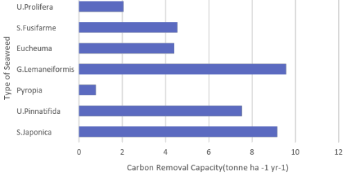 Figure 3: illustrates the variation in carbon removal capacity for China’s seaweed.