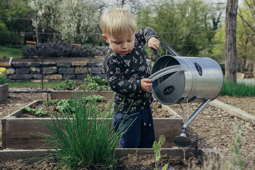 Figure 1: Picture of a child watering plants.