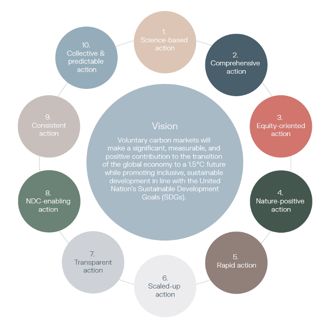 Figure 1: VCMI's Ten Principles for Voluntary Corporate Climate Action. Source: Consultation Report: Aligning Voluntary Carbon Markets with the 1.5˚C Paris Agreement Ambition, Voluntary Carbon Markets Integrity Initiative (VCMI)