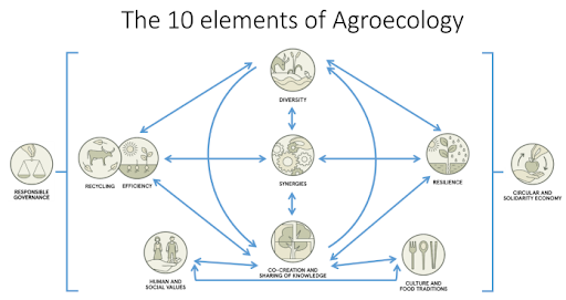 Figure 3: The 10 elements of agroecology by FAO