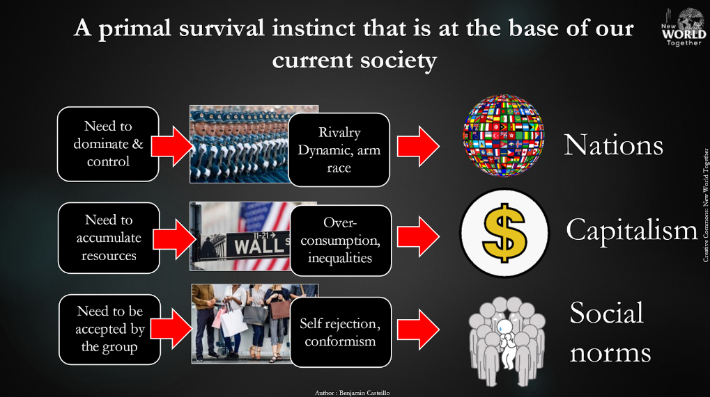 Figure 7: Primal Survival Patterns and Social Structures