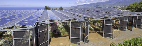 Figure 4: Solar Panel green houses (Source: Solar Impulse Foundation, Agrinergie. Accelerating the ecological transition between agriculture and energy production in territories. This illustrates how solar panels may also be integrated into greenhouse systems.)