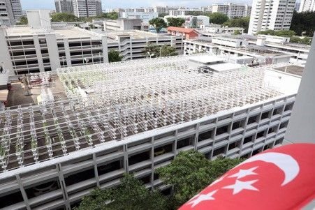 Figure 3: Citiponics’ farm, located on the rooftop of a multi-story car park in Singapore. Photograph: Vertical-farming