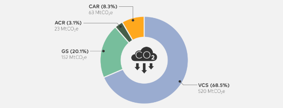 Figure 1: Share of the credits issued in the VCM 2021. Source: https://vcmprimer.org/chapter-7-what-is-the-role-of-carbon-standards-in-the-voluntary-carbon-market/