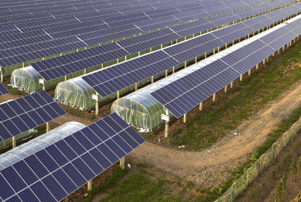 Figure 2: Solar Panels covering greenhouses (Source: Galileo Green Energy, AgriPV How Solar Enables the Clean Energy Transition in Rural Areas).