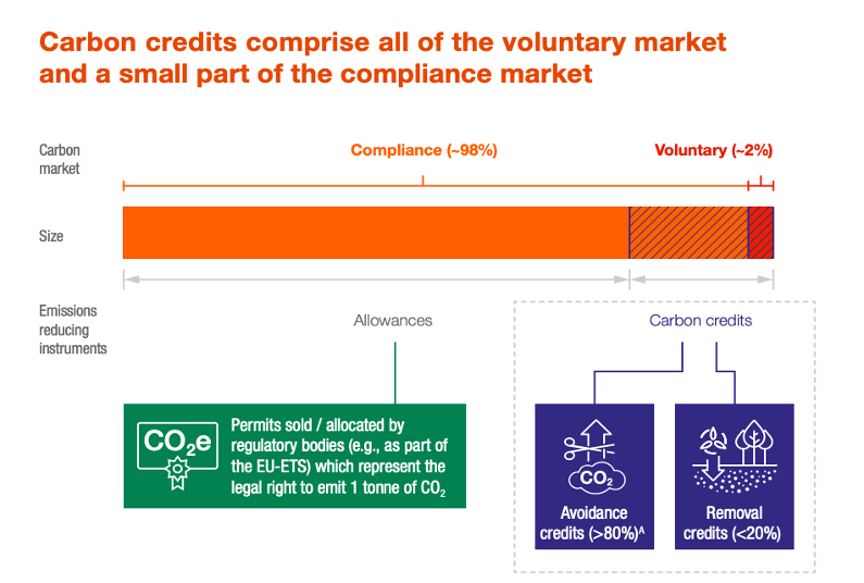 The voluntary carbon market: 2022 insights and trends