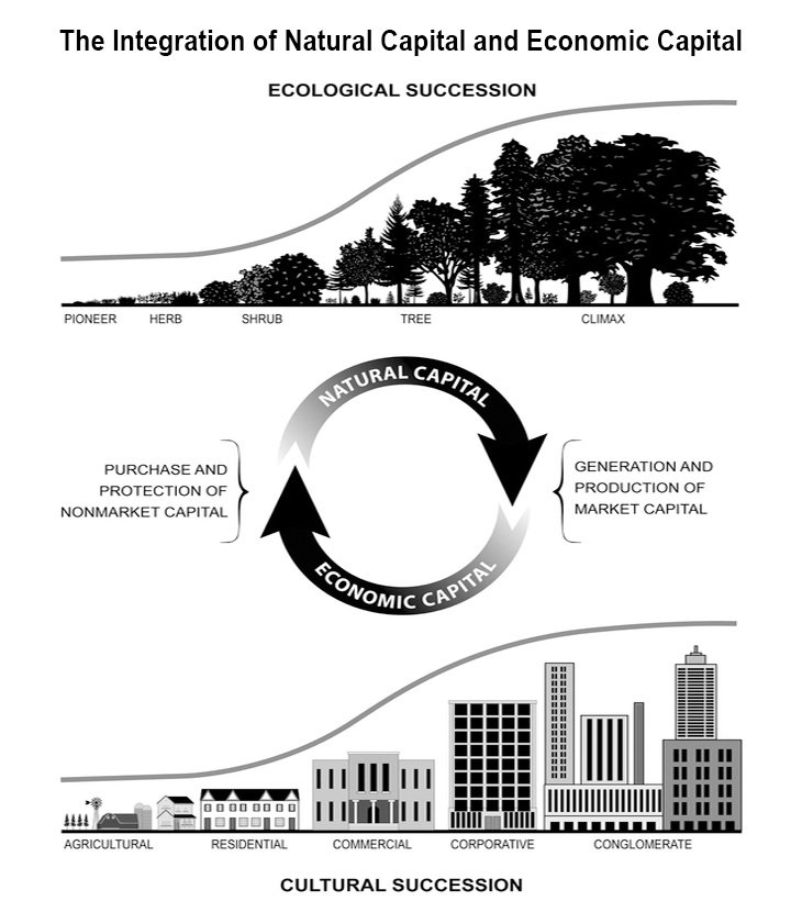 Integration of Natural Capital and Economic Capital