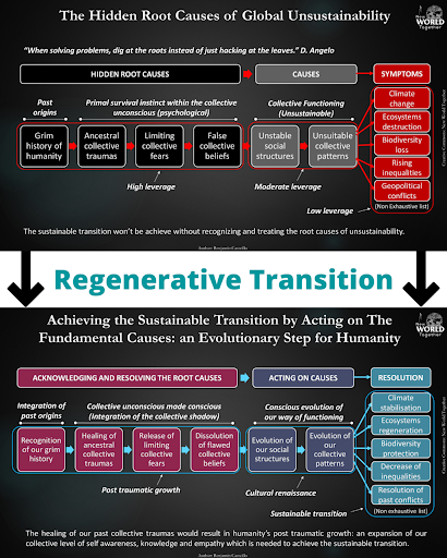 Fig 4: The regenerative transition – a need to address the root causes of unsustainability