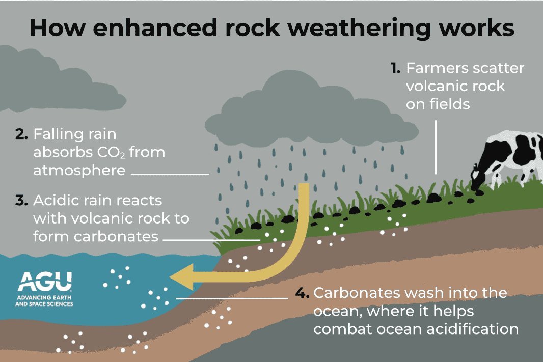 How enhanced rock weathering works