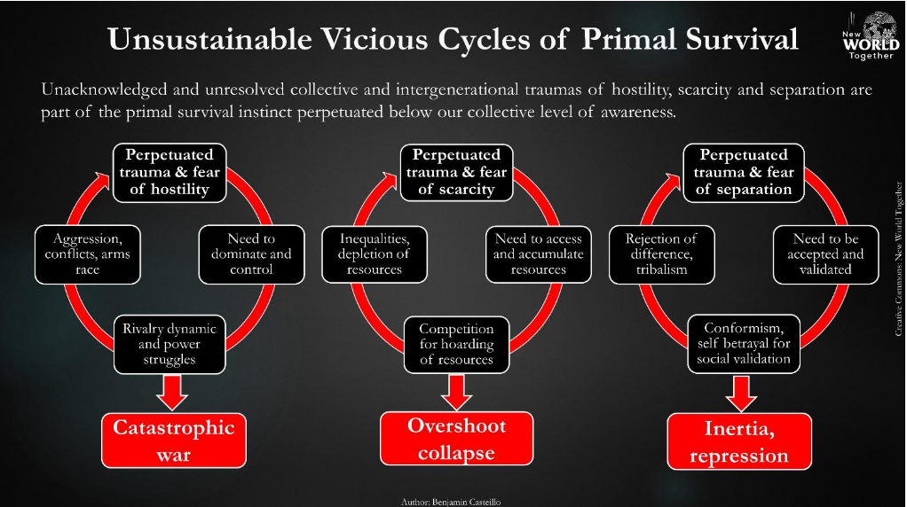 Figure 11: The Traumatic Vicious Cycles of Hostility, Scarcity and Separation