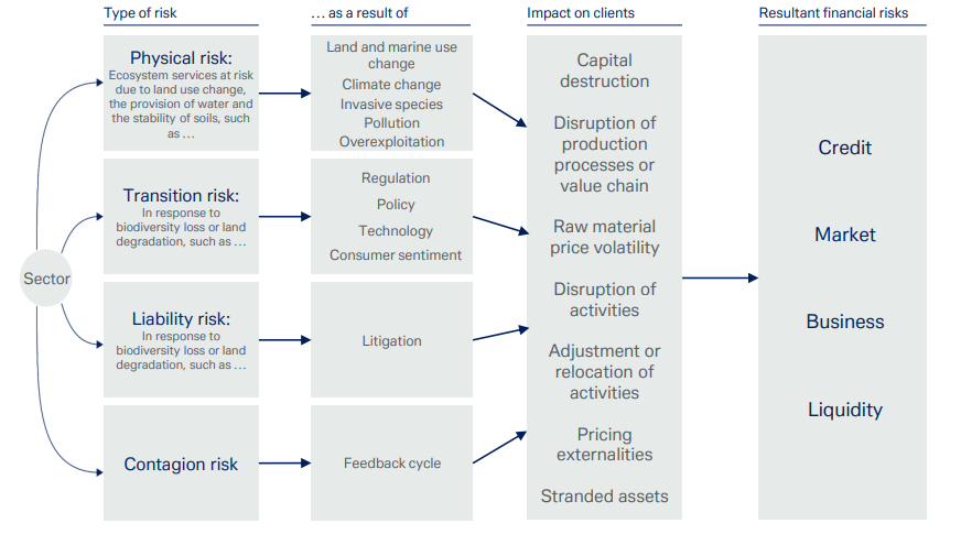 Figure 3: Different types of business risk: one accepted classification. Source: CISL, Deutsche Bank AG. Data as of February 4, 2022. 