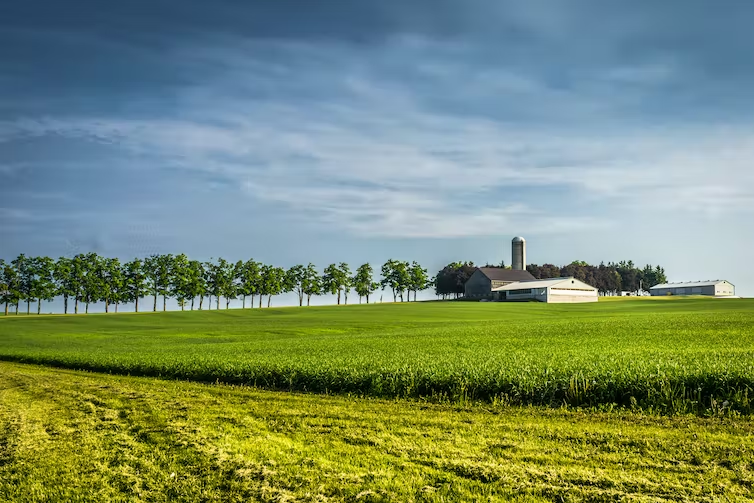 Figure 1: Farms in the Guelph—Wellington region are working on sustainable agriculture. Source: Shutterstock