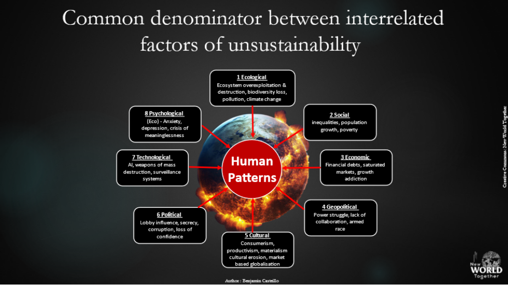 Figure 4: The common denominator between all the factors of global and systemic unsustainability