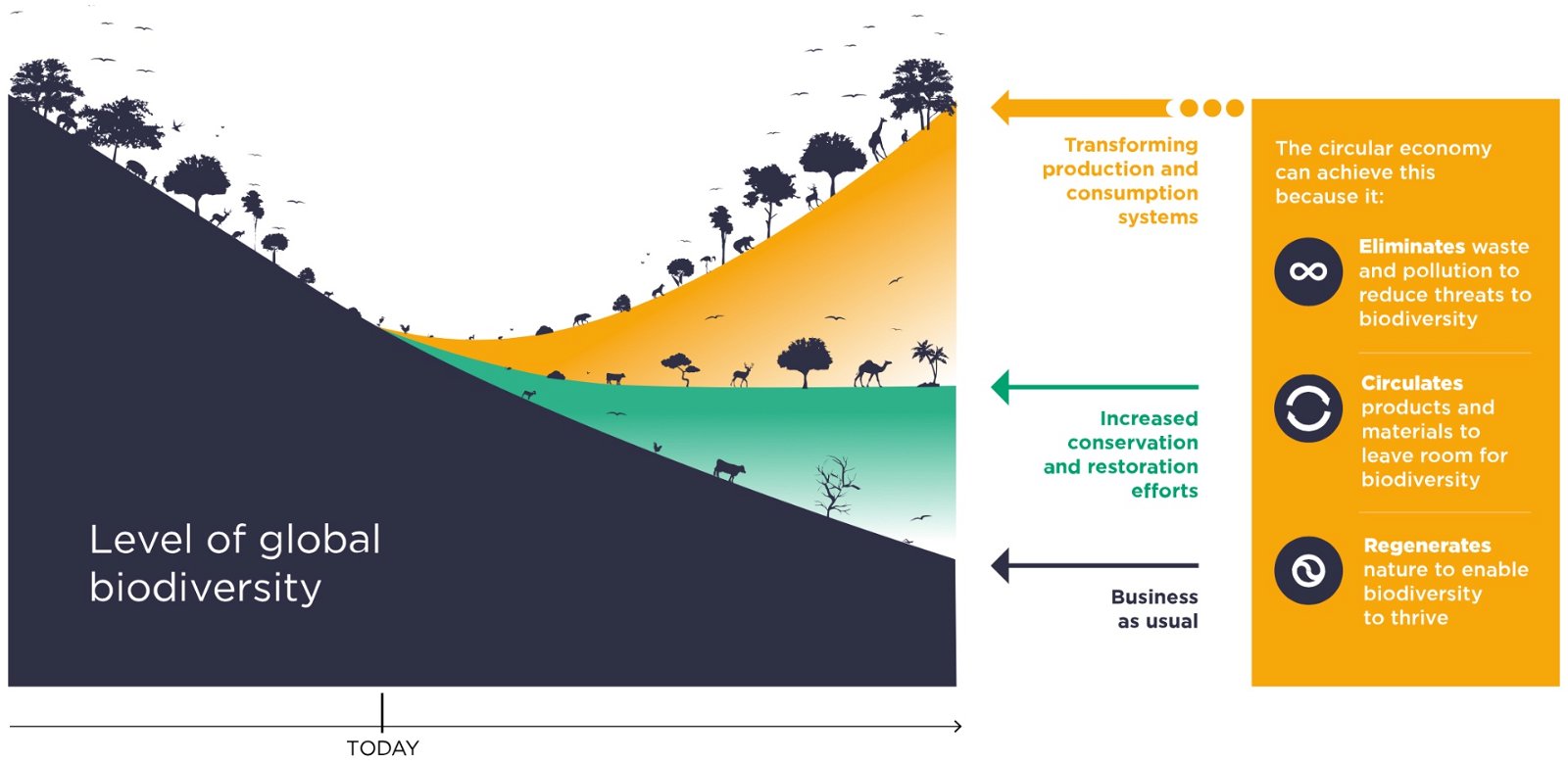 level of global biodiversity