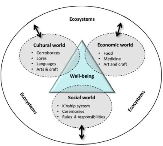 Figure 6: Diagram showing the links between the cultural, economic and social world through well-being.  Application of capability approach to assess the role of ecosystem services in the well-being of Indigenous Australians by Kamaljit Kaur Sangha and Andrew Le Brocque