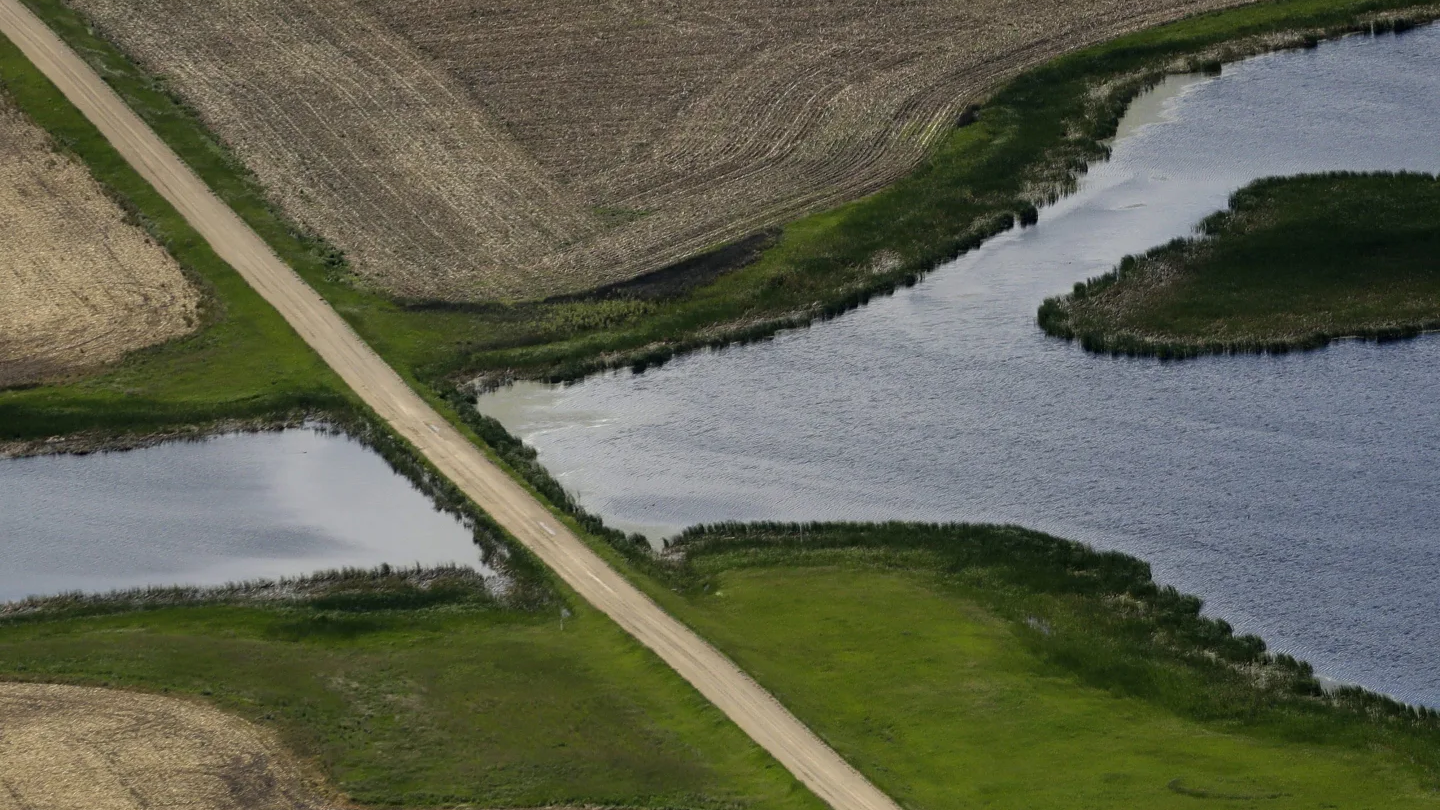 Supreme Court curbs U.S. government regulation of wetlands, making them easier to develop